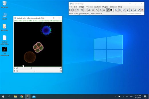 Fiji ImageJ 第3讲——精确控制3D图像的显示