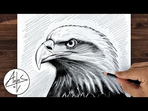 How To Draw A EAGLE | Pencil Drawing Tutorial