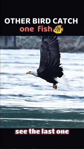 Eagle Power! 🦅 While Others Catch 1 Fish, He Catches 2! 🐟🔥#animals #wildlife #tranding #viral #eagle