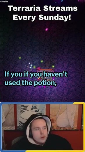 The Flawless Healing System #gaming #terraria #tmodloader