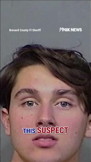 ‘Breaking Bad on STEROIDS’: Sheriff unveils record drug bust #shorts #us #news #drugbust