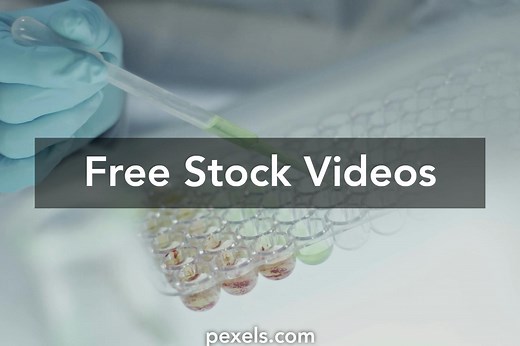 Sample Videos, Download The BEST Free 4k Stock Video Footage & Sample HD Video Clips