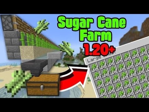 How to Make Easy Automatic Sugar Cane Farm Minecraft 1.20 | Java & Bedrock Edition