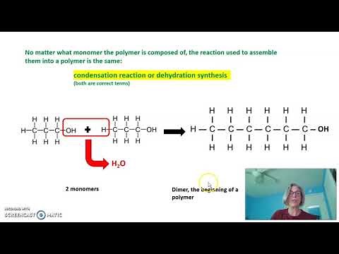Polymers and their synthesis and breakdown