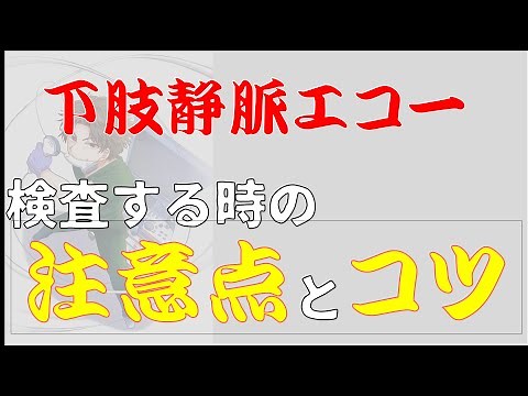 [Lower limb venous ultrasound] Precautions during examination! & Key points for observation and e...