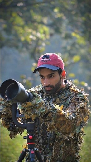 One Perfect Shot 🎯📸👀 #wildlife #photography #nature
