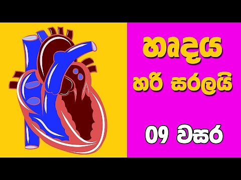Grade 9 Science in Sinhala | Grade 9 Science Unit 06 Part 1 | 9 වසර විද්‍යාව 06 පාඩම | රුධිර සංසරණය