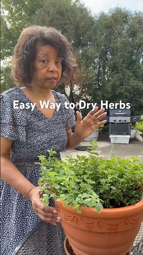 Super Easy Way to Dry Herbs | How to Dry Herbs Without Dehydrator