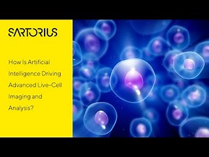 AI-Driven, Label-Free Quantification of Cell Viability in Live-Cell Imaging