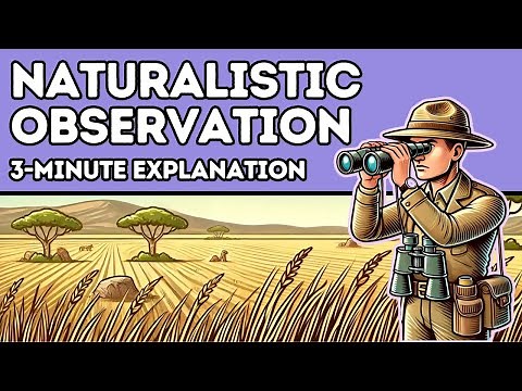 Naturalistic Observation: Definition and Examples (Explained in 3 Minutes)
