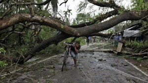 Cyclone Amphan aftermath in Bengal: Houses damaged, trees uprooted, more