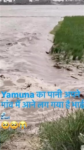 #automobile #shortsfeed #shorts#love #flood #floodinpunjab