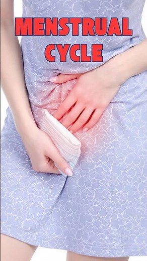 Understanding the Phases of the Menstrual Cycle | Simplified Explanation