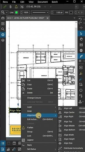 Align and Distribute Markups in Bluebeam Revu #shorts