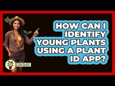 How Can I Identify Young Plants Using A Plant ID App? - The Plant Enthusiast
