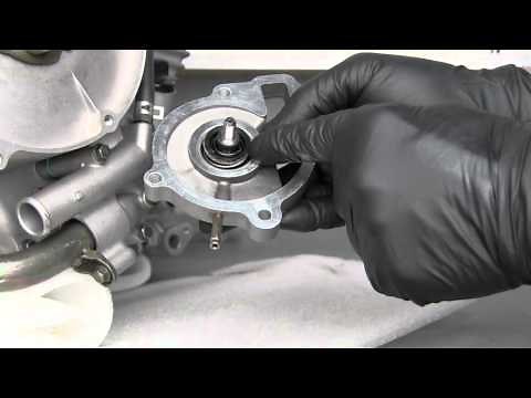 Water Pump Inspection