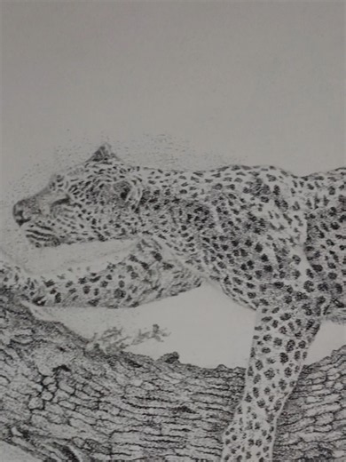 Pointillism Tiger Drawing Tutorial on A4 Paper - 95% Realism