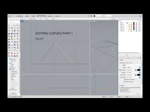 RHINO / EDITING CURVES