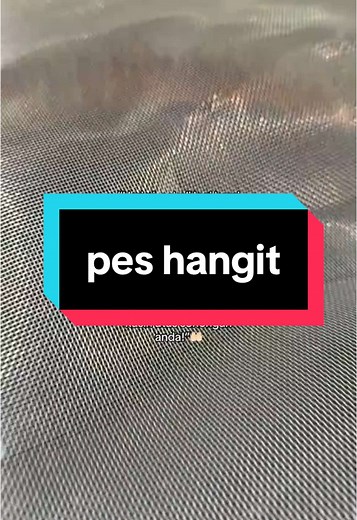 Pes Char Kuey Teow: Kualiti Terbaik Setiap Hidangan