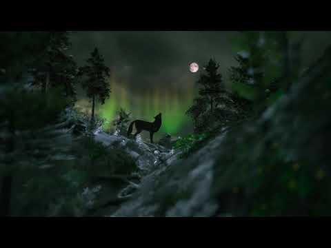 8 Hours Haunting Loon Call & Howling Wolves On A Windy Night ~ *No Music*