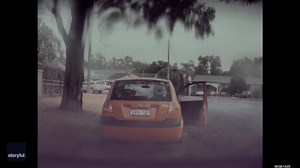 Video shows tree explode after lightning strike as man narrowly avoids being crushed by falling limbs