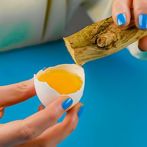 70K views · 119 reactions | 6 DIY Fall Decorations For Your Home 蝹 FULL INSTRUCTIONS: https://bit.ly/3nzKOMi | Cleverly | Facebook