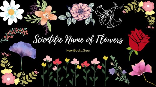 Scientific Name of Flowers | List of Famous Common Flower Names & its Botanical Flower Names with Images