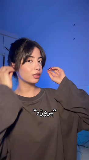 پروژه یعنی چی؟ — تعریف و کاربرد «پروژه» در فارسی