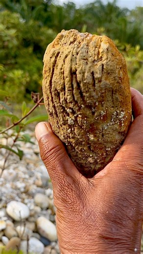 2.5K views · 20 reactions | Digging up $999 worth of rocks, on a cliff from a former gold mine. #digging #rocks #goldmine #gemstone #digginggemstone #menggalibatu #huntinggear #freedom #photography | Jonnaidi Jhon Diamond | Facebook