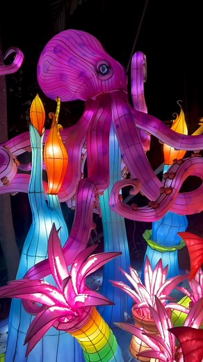 1K views · 64 reactions | Luminosa transforms 13 acres of jungle into an illuminated wonderland filled with towering lanterns, dazzling art, and breathtaking moments at every turn✨ | Miami Bucket List | Facebook