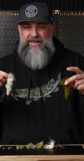 Our Top 5 Streamers to Use Right NOW!