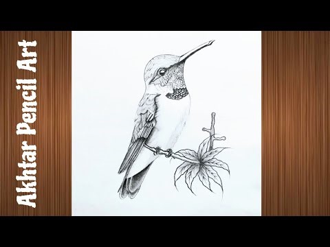 How To Draw Humming Bird With Flowers Easy, Bird Drawing Pencil Tutorial Step by Step
