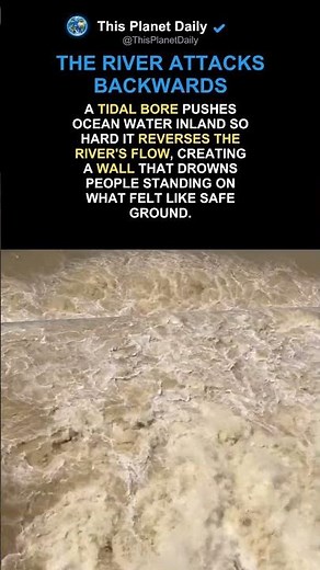 How a Tidal Bore Reverses a River