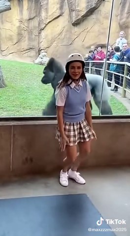 Girl Handstands… The Gorilla Did a FLIP 🦍🔥 | handstand