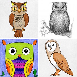 25 Easy Owl Drawing Ideas - How to Draw an Owl