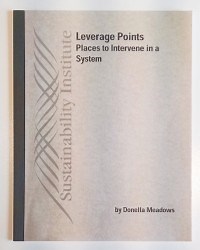 A Visual Approach to Leverage Points