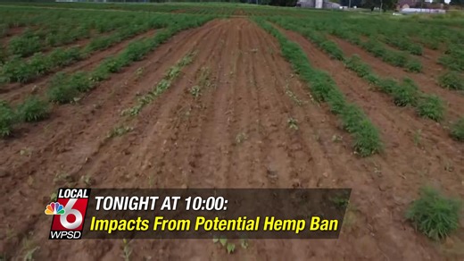 Tonight at 10, Local 6's Arriyonna Allen explains lingering need for people and nonprofits as the government shutdown ends, and Jaron Von Runnen shares the possible impacts of a proposed hemp ban. Join us on WPSD Local 6! | WPSD-TV
