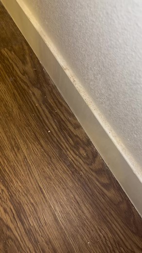 Baseboard Cleaning Tips for Flawless Results