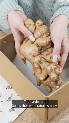 This way you can store ginger for up to 12 months!
