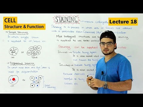 Staining technique in Cell biology | Simple and differential staining | Video 19