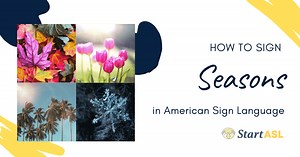 How to sign seasons in American Sign Language (ASL) | Start ASL