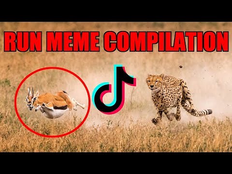 ★Top 10 TikTok "Run Memes" | AwolNation-Run Compilation | Run Meme Compilation ★