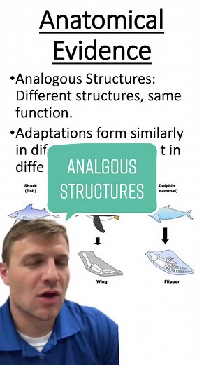 Understanding Analogous Structures in Evolution