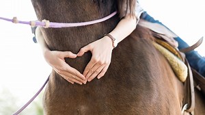Horse Heart: A Guide To Rate, Size, And Function