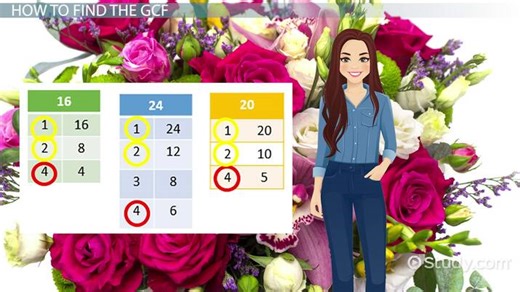 Common Factors | Factoring & Examples