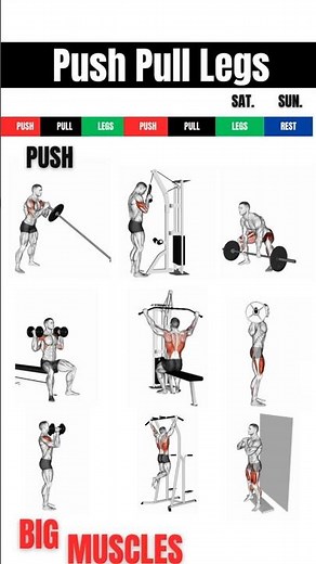 Push Pull Legs workout routines | 6 effective workout plan Push Pull Legs | #shots #pushpulllegs