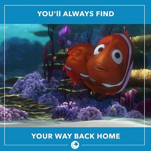 39K views · 2.4K reactions | Home is where the heart is.  | Nemo | Facebook
