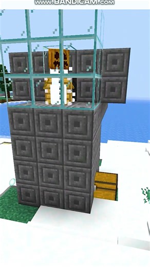 51 Unbelievable Minecraft Facts That Will BLOW Your Mind! #minecraftjava #minecraft