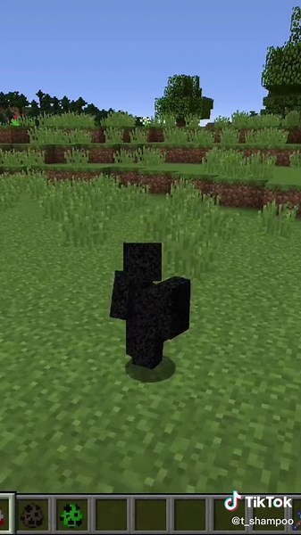 Best Morph Mod for Minecraft 1.12.2