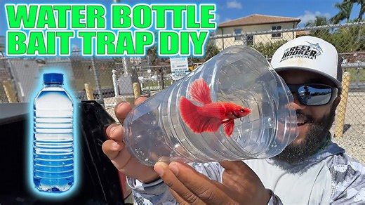 Make a Fish Trap With a Water Bottle—Simple DIY That Works